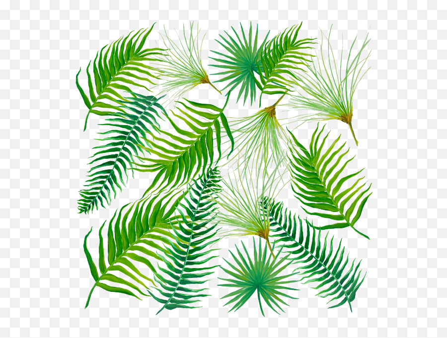 Tropical Leaves And Ferns Bath Towel For Sale By Jan Matson Emoji,Tropical Leaves Png