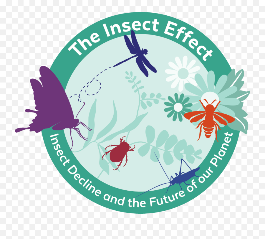 Insect Decline And - Insect Emoji,Animal Planet Logo