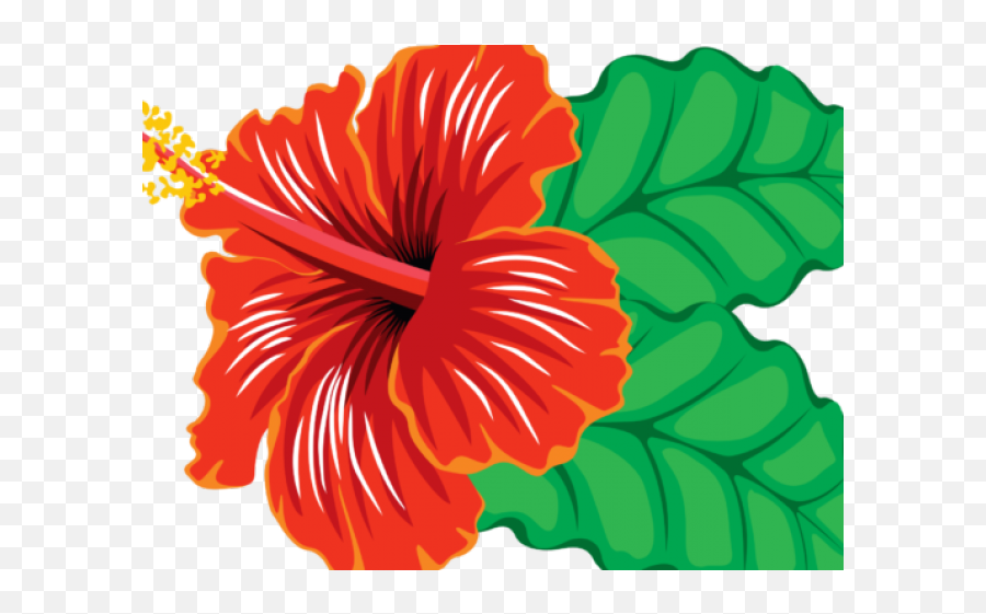 Hibiscus Clipart Real Flower - Red Hibiscus Flower Hibiscus Clipart Emoji,Hibiscus Clipart