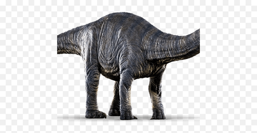 Apatosaurus Jurassic Park Wiki Fandom - Apatosaurus Png Emoji,Jurassic World Clipart