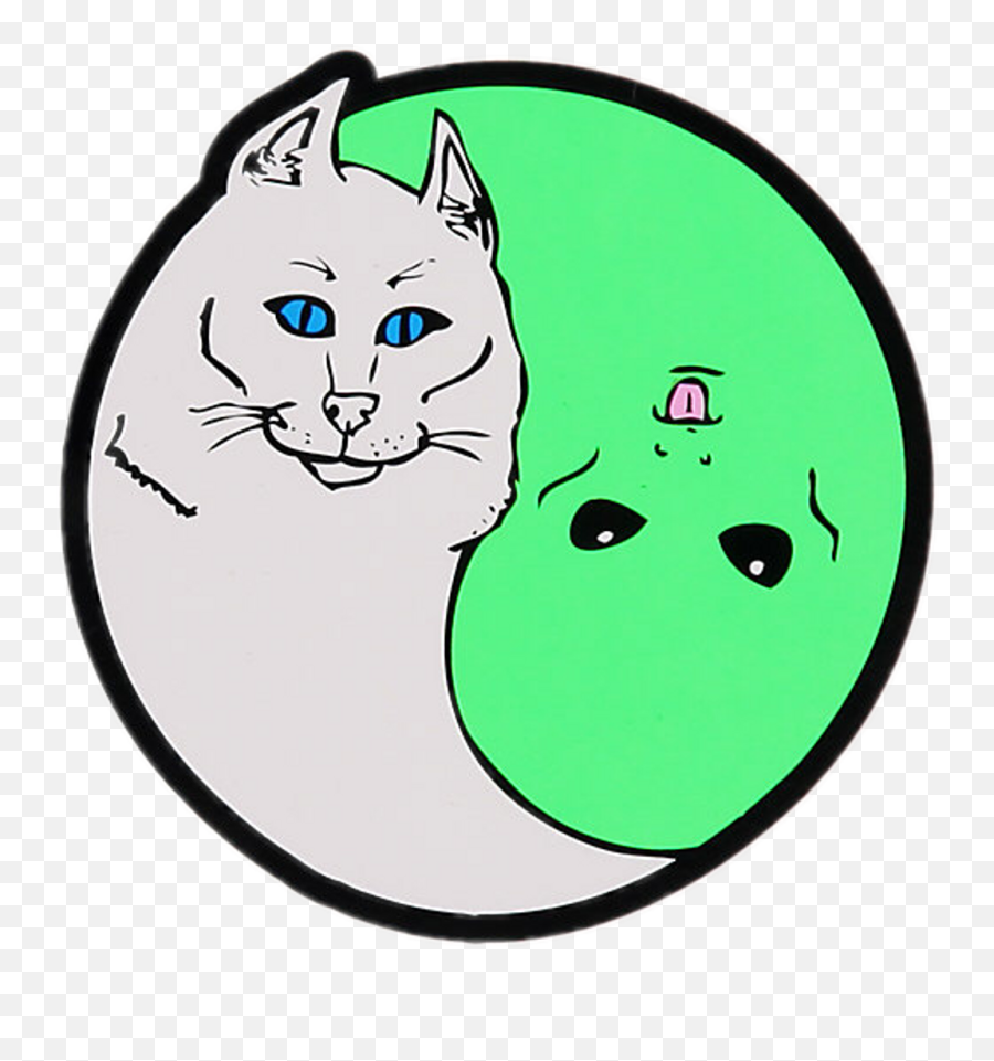 Transparent Cats Clipart Png - Rip N Dip Png Emoji,Ripndip Logo