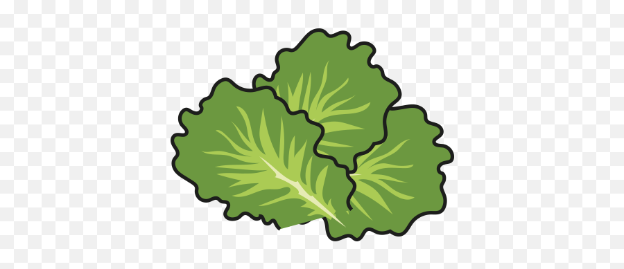 Lettuce Clipart Lettuce Slice Picture - Collard Greens Clipart Png Emoji,Lettuce Clipart