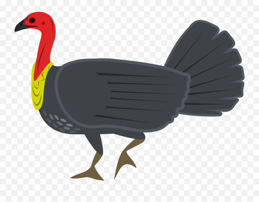 Turkey Bird Clipart Big Turkey - Australian Bush Turkey Australian Brush Turkey Png Emoji,Clipart Turkey