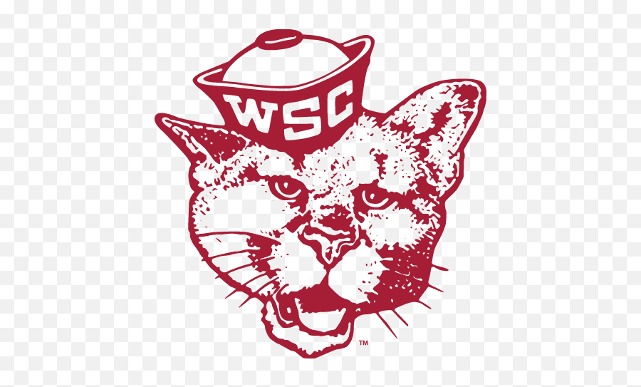 Wsu Cougars - Washington State Cougars Pennant Emoji,Washington State University Logo
