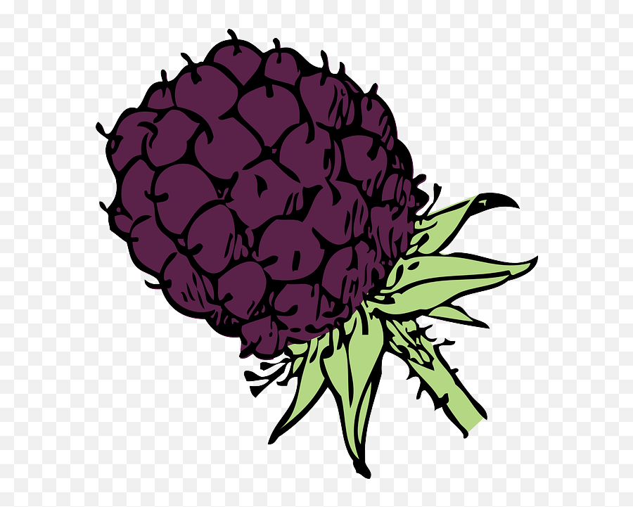 Raspberry Berry Blackberry - Blackberry Cartoon Png Emoji,Raspberry Clipart
