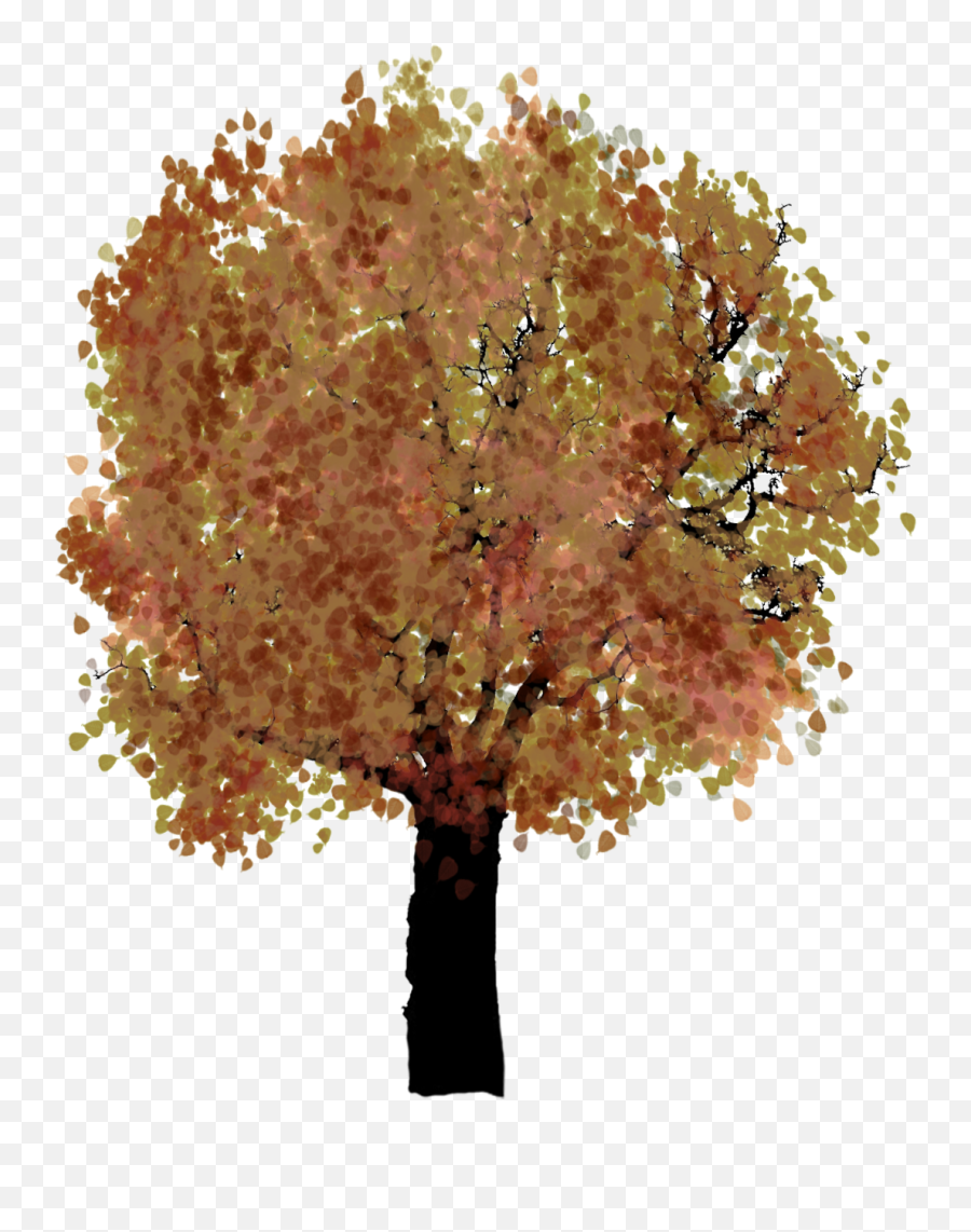 Tree Clipart - Autumn Emoji,Tree Clipart Png