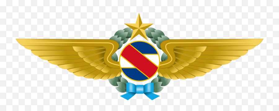 Uruguayan Air Force - Escudo Fuerza Aerea Uruguaya Emoji,Civil Air Patrol Clipart
