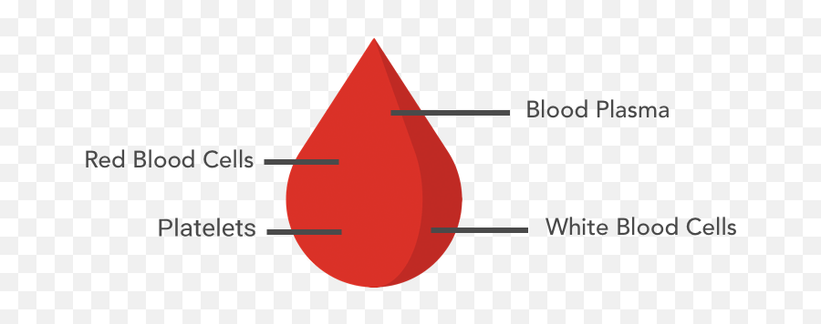 Plasmapheresis Procedure Information U0026 Potential Emoji,Blood Drop Png