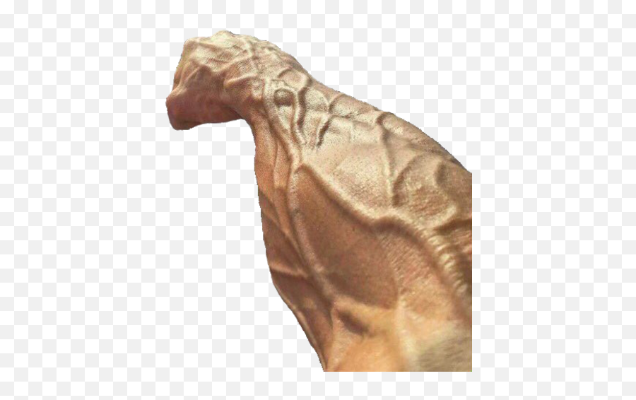Veiny Muscular Arm Transparent Png - Artifact Emoji,Arm Png