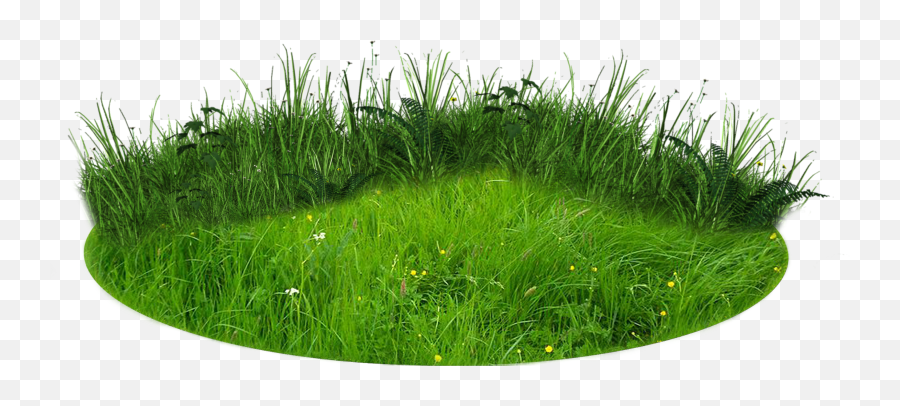 Png Images Gallery Png Images Gallery - Transparent Background Grass Patch Png Emoji,Png