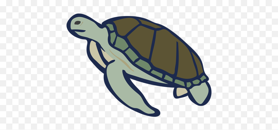 Color Animal Flat Turtle - Sea Turtle Swimming Doodle Emoji,Turtle Transparent