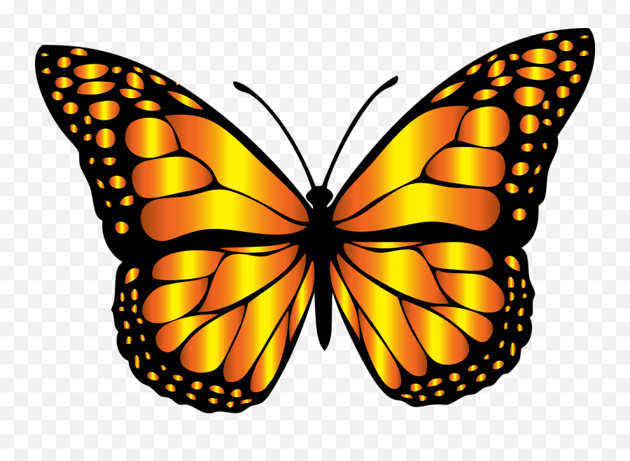 22 Butterfly Clipart Statuswallpaper - Clipart Monarch Butterfly Png Emoji,Butterflies Clipart