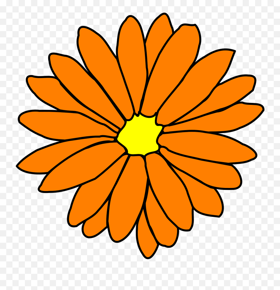 Flower Blossom Petal Png Picpng Emoji,Flower Petal Png