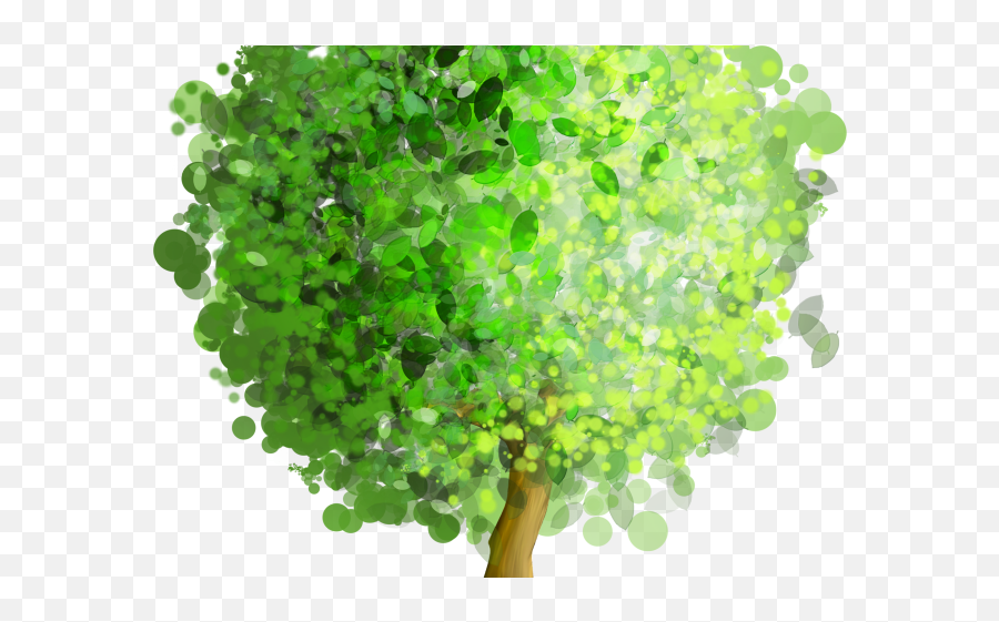 Willow Tree Png - Tree Png Art Emoji,Tree Clipart