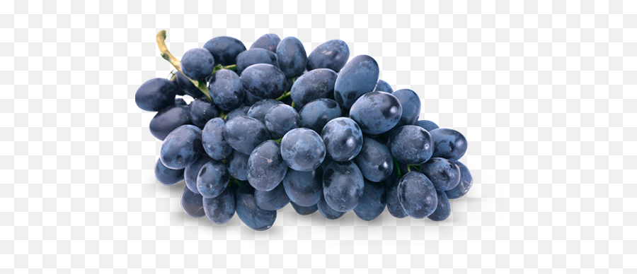 Grape Png Transparent Grapes Clipart Images Free Download Emoji,Wine Grapes Clipart