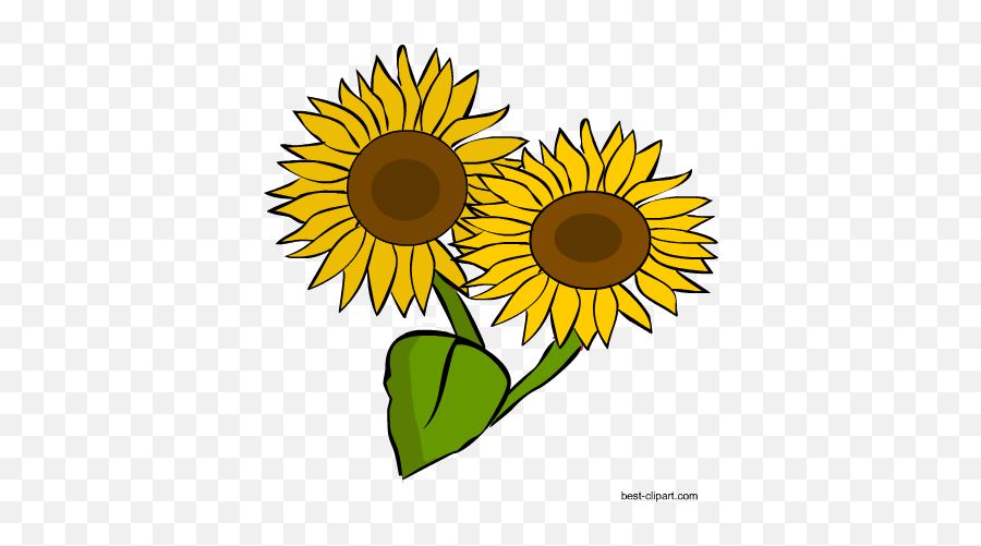Download Hd Two Sunflowers Png Clip Art Image - Sunflower Clipart Sunflower Png Emoji,Sunflower Png