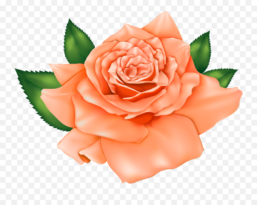 Download Orange And Purple Flower Clipart - Flores Color Rose Png Cliparts Emoji,Purple Flower Clipart