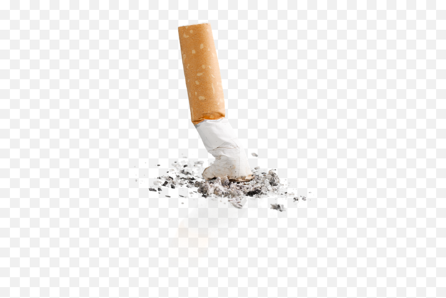 Download Cigarette Butt Png - Cigarette Butt Transparent Cigarette Butt Png Transparent Emoji,Cigarette Transparent