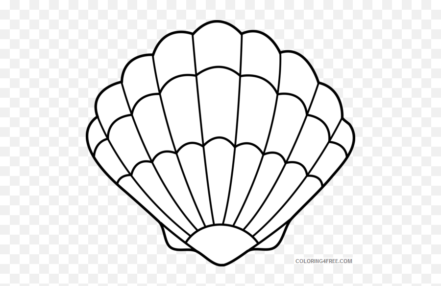 Clam Coloring Pages Clam 7iarzbkia Png - Seashell Printable Emoji,Clam Png