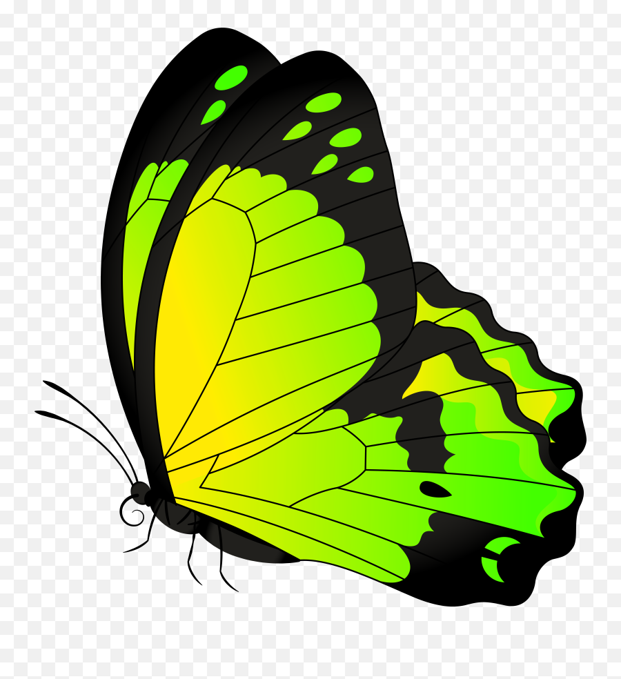 Butterfly Yellow Green Transparent Clip Emoji,Butterflies Clipart