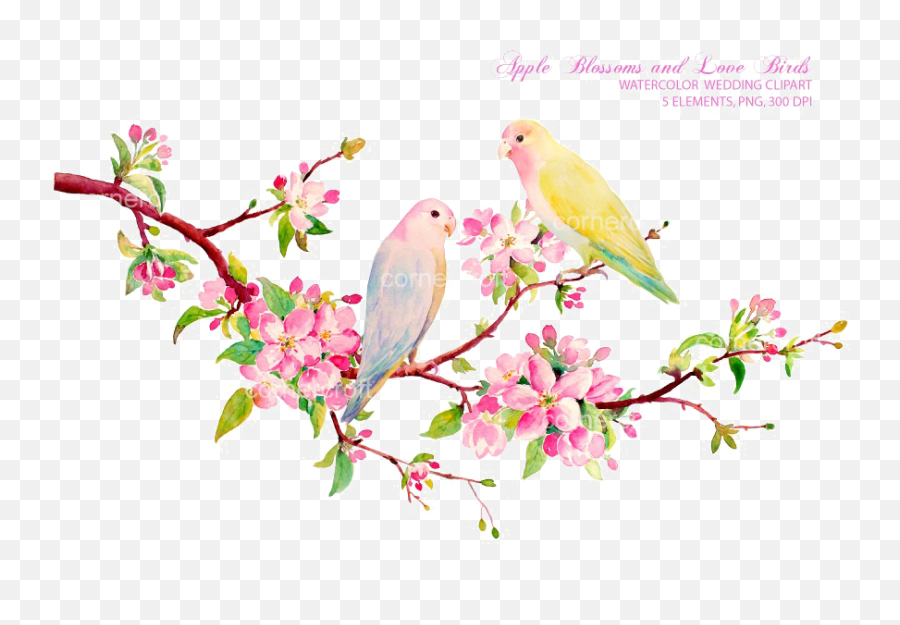 Birds Clipart Watercolor Birds Spring Clipart Mason Jar L Emoji,L Clipart
