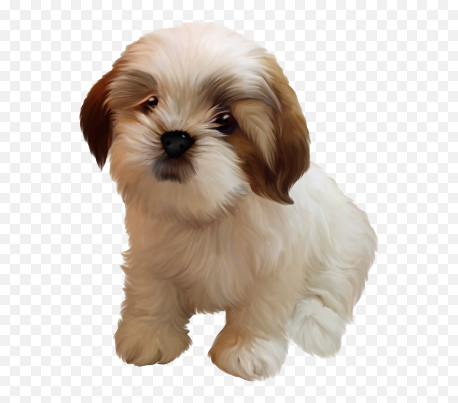 Shih Tzu Puppy Png Image - Vulnerable Native Breeds Emoji,Puppy Png