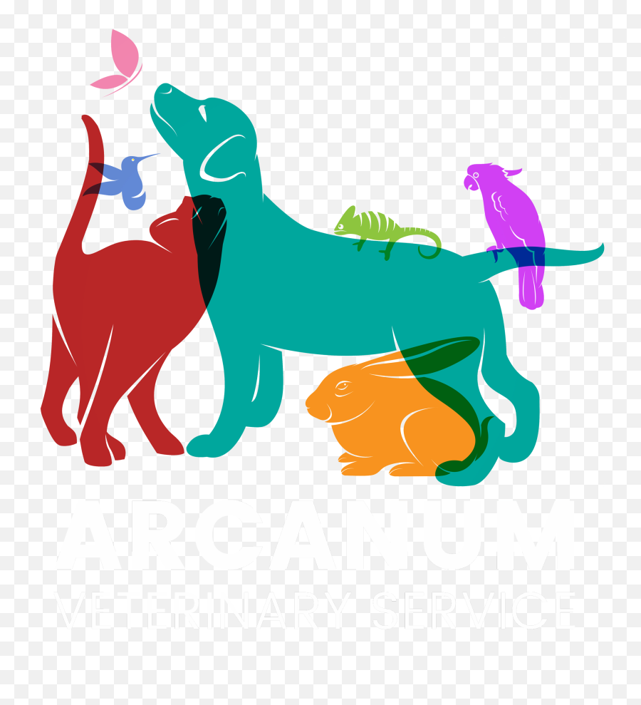 Interactive Arcanum Veterinary - Clipart Veterinary Veterinary Clipart Emoji,Veterinarian Clipart