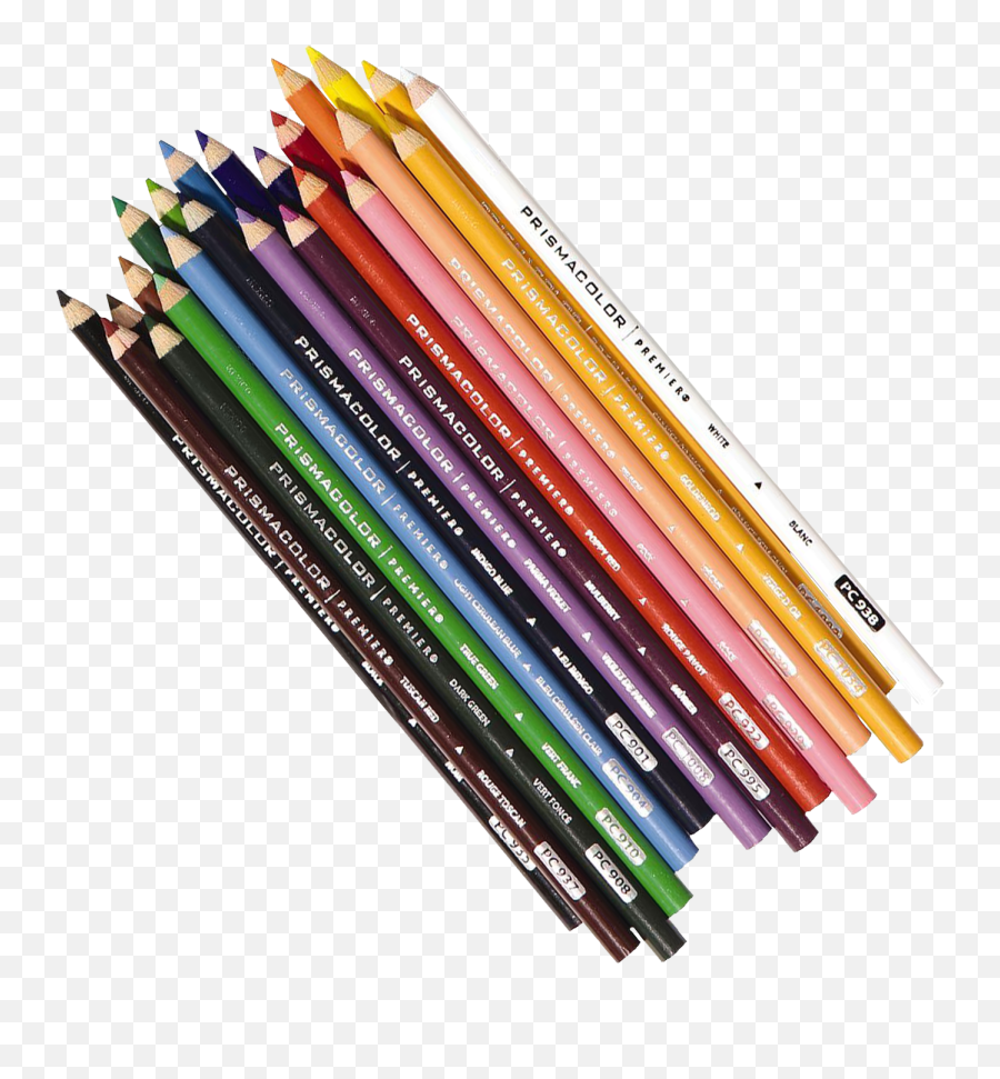 Color Pencils Png - Colored Pencils Prismacolor Colored Prismacolor Pencils Png Emoji,Pencil Logo