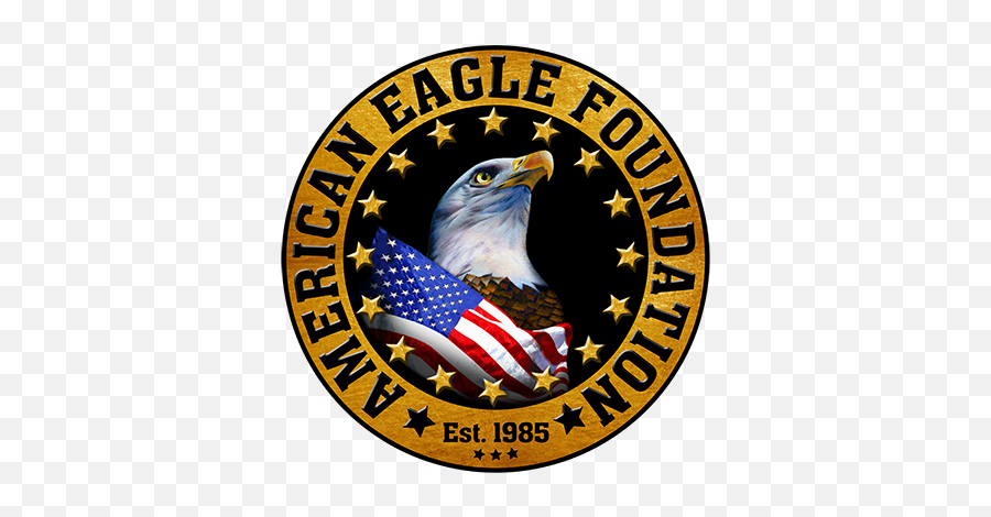 Eagle Cam Bald Eagle - American Eagle Emoji,American Eagle Logo