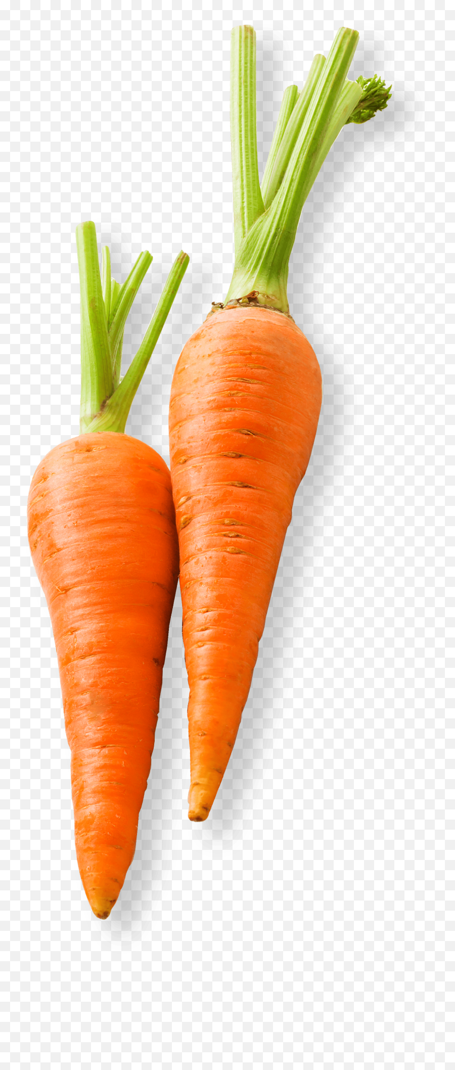 Baby Carrot Vegetable Food Carrot Cake - Baby Carrot Emoji,Carrot Transparent Background
