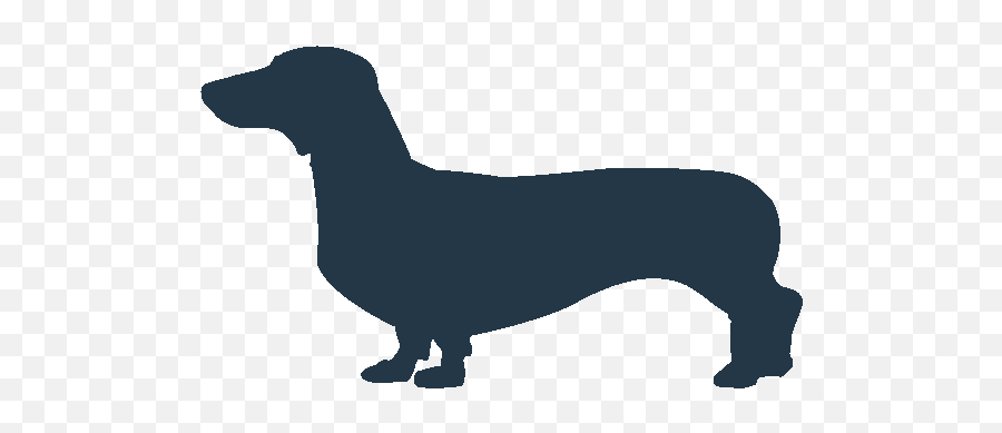 Download Dachshund Dog Icon Png Image With No Background Emoji,Dog Icon Png