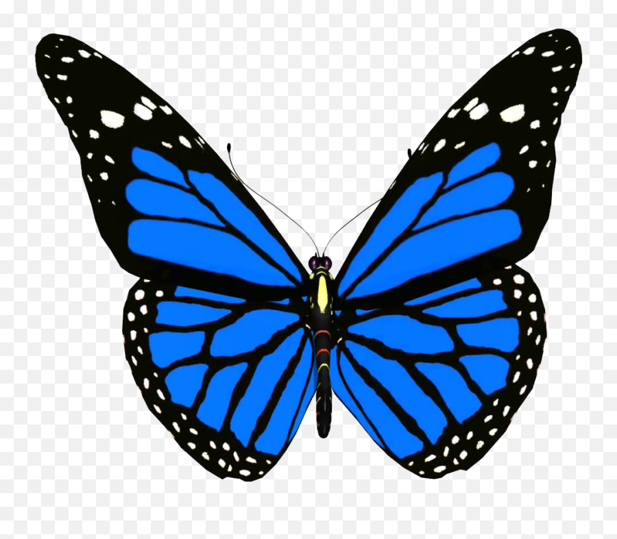 Blue Animated Butterfly Png Photo Png Arts Emoji,Butterfly Emoji Png