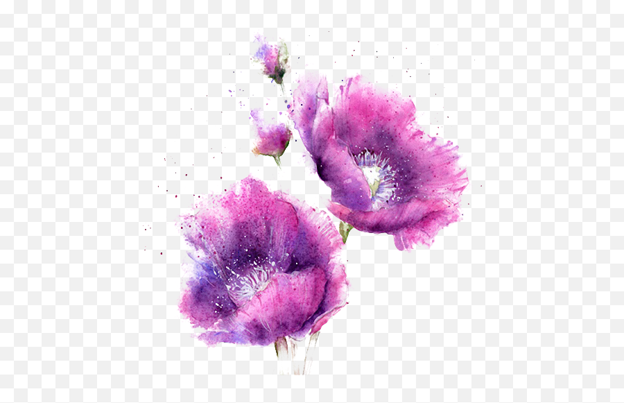 Purple Flower Paintings Png U0026 Free Purple Flower Paintings - Water Painting Flowers Png Emoji,Purple Flower Clipart
