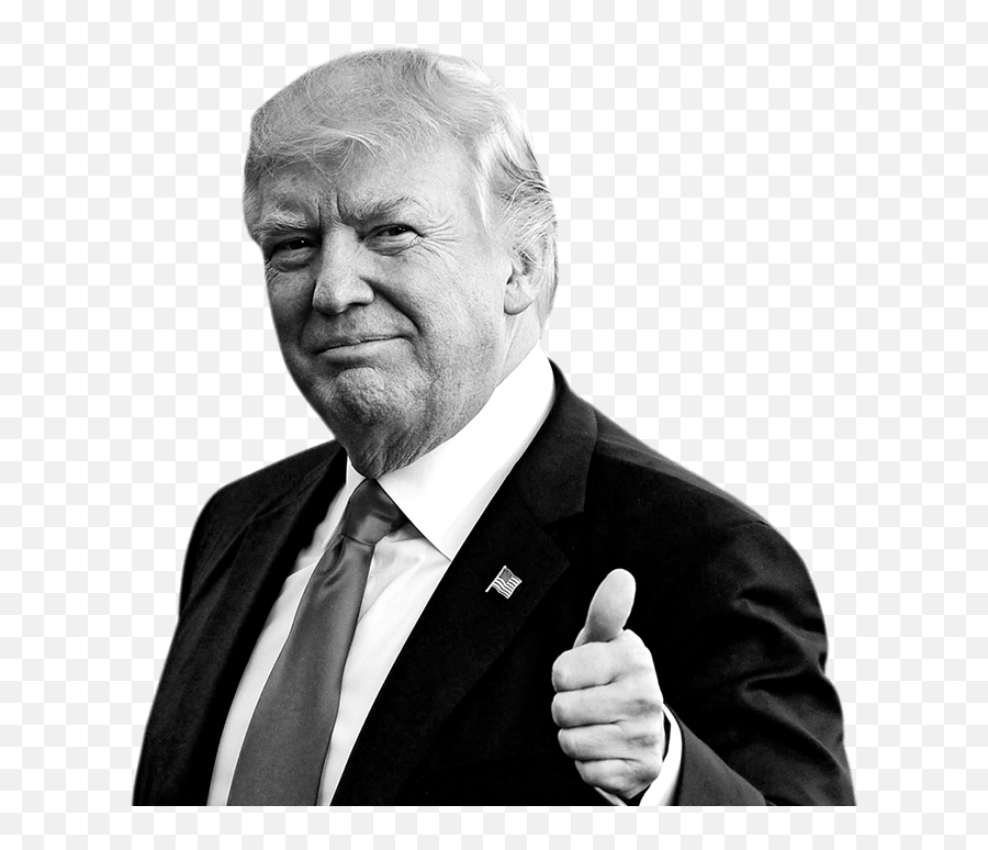 Has Trump Insulted You - Donald Trump Bianco E Nero Emoji,Trump Png