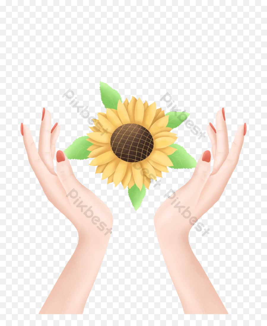 Hand Holding Sunflower Png Images Psd Free Download - Pikbest Am A Beauty Queen Emoji,Sunflower Png