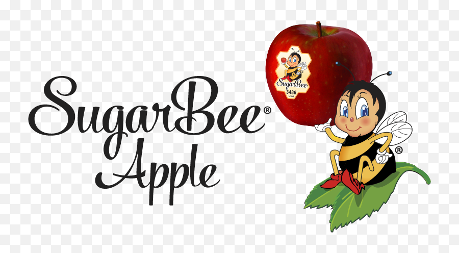 Sugarbee Apples Apple Recipes Sugarbee Apple Upside - Sugar Bee Apples Emoji,Phone Stuck On Apple Logo