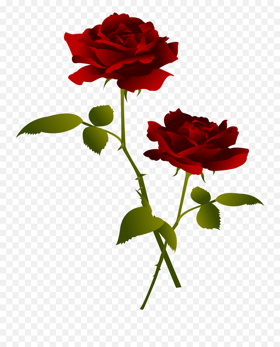 Red Rose Flower Clipart Free Download Transparent Png - Flower Rose Images Clipart Emoji,Flower Clipart