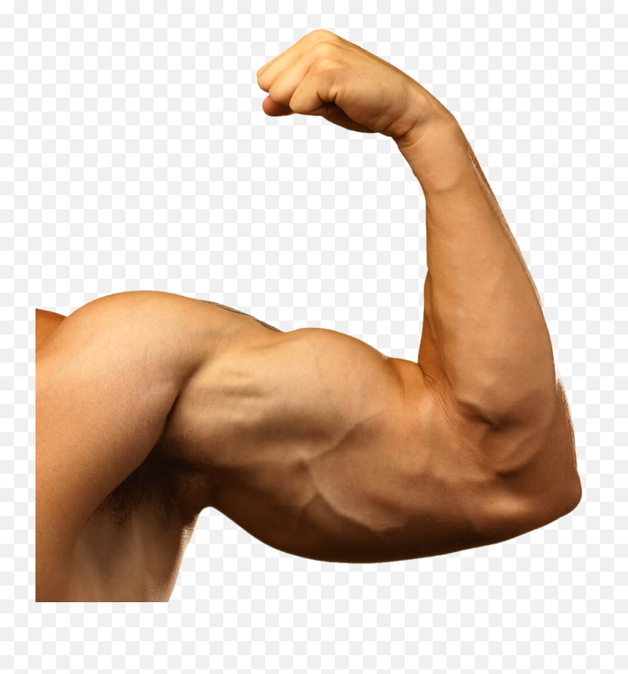 Muscle Arm Png Background Images - Muscle Arms Png Emoji,Arm Png