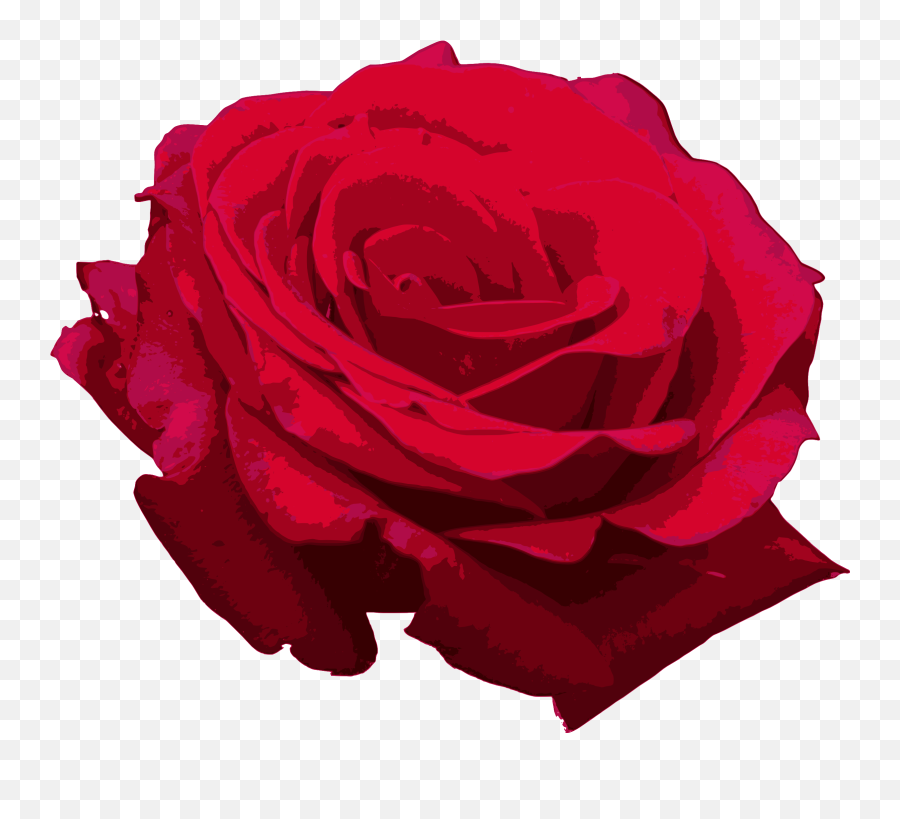 Red Rose Png Image Transparent Onlygfxcom - Rose Png Aquarelle Red Emoji,Rose Transparent Background