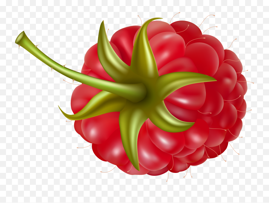 Raspberry Icon Clipart - Framboisedessin Emoji,Raspberry Clipart