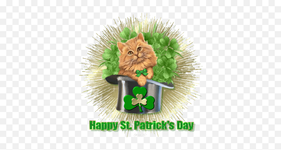 Animated Gif St Patricks Day E Cards - Happy St Day Gif Emoji,Happy St Patricks Day Clipart