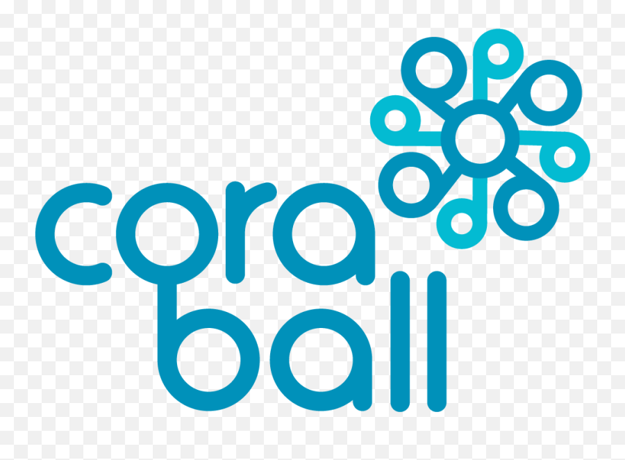 Cora Microfiber Laundry Ball - G8 Hokkaido Toyako Summit Memorial Museum Emoji,Balls Logos