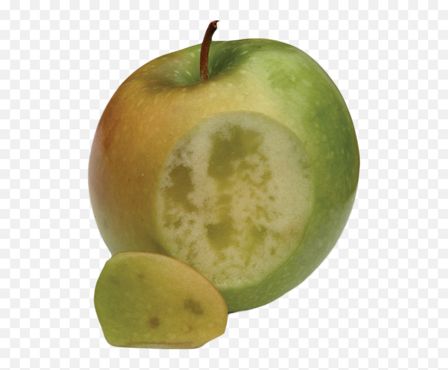 Physiological Disorders Tree Fruit Postharvest Export - Superfood Emoji,Apple Transparent