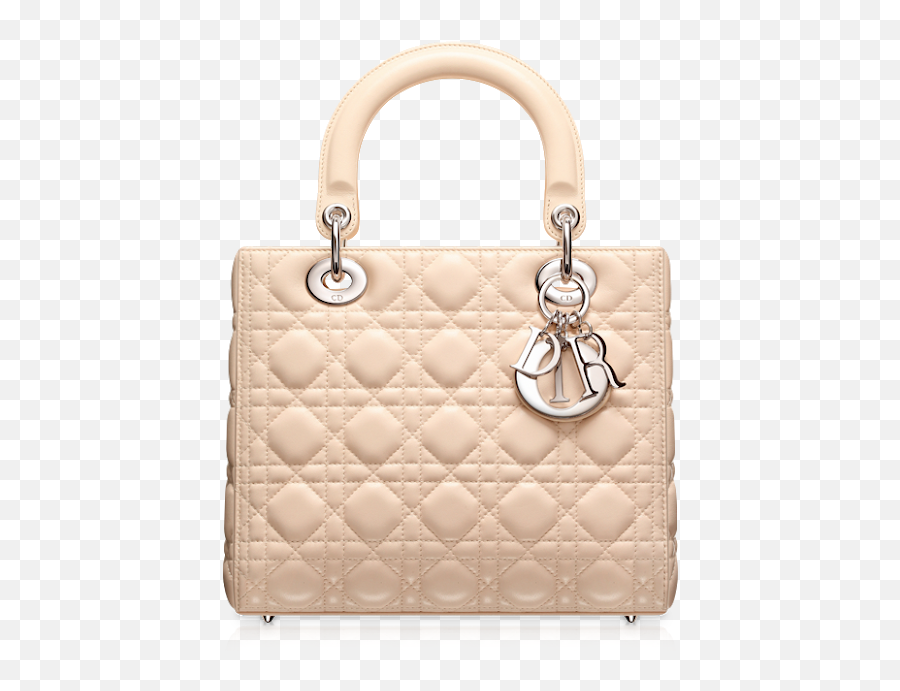 Download Christian Dior Handbag Lady Chanel Se Hq Png Image - Lady Dior Bag Png Emoji,Dior Logo
