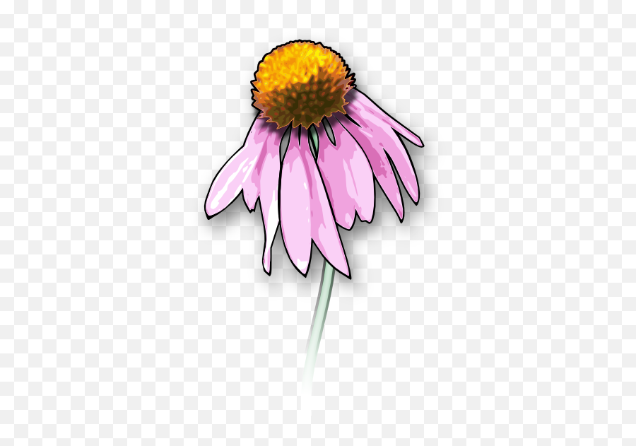 Free Flower Clipart And Graphics - Dead Flower Clipart Emoji,Free Floral Clipart
