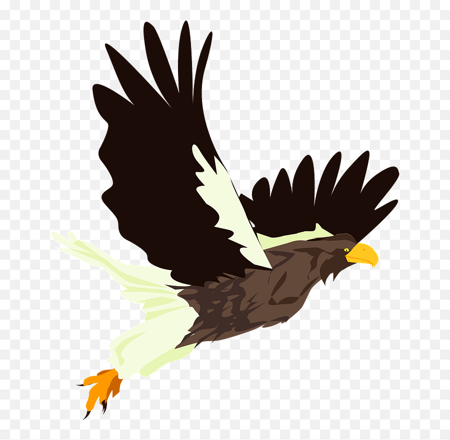 Hawk Bird Clipart Free Download Transparent Png Creazilla - Hawk Bird Clipart Emoji,Free Bird Clipart