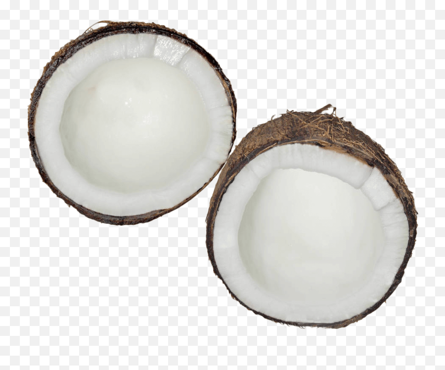 160 Coconut Png Ideas In 2021 Coconut Png Clip Art Emoji,Coconuts Clipart