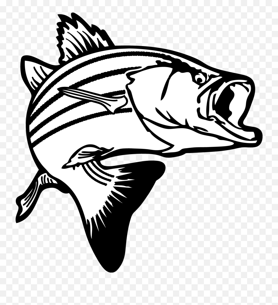 Bass Fish Pictures Clip Art Clipart - Bass Fish Clipart Emoji,Bass Clipart