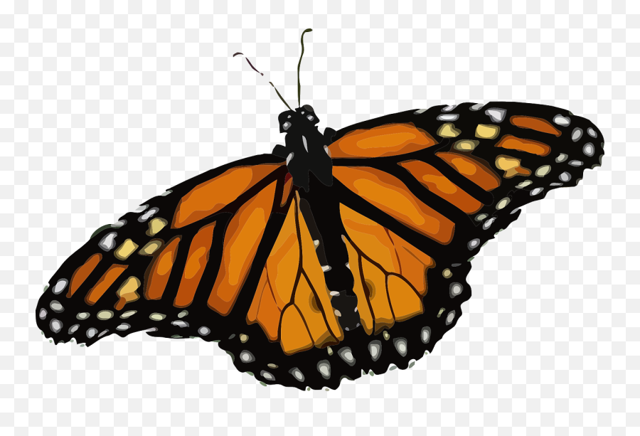 Monarch Butterfly Clipart - Danaus Plexippus Png Emoji,Monarch Butterfly Clipart
