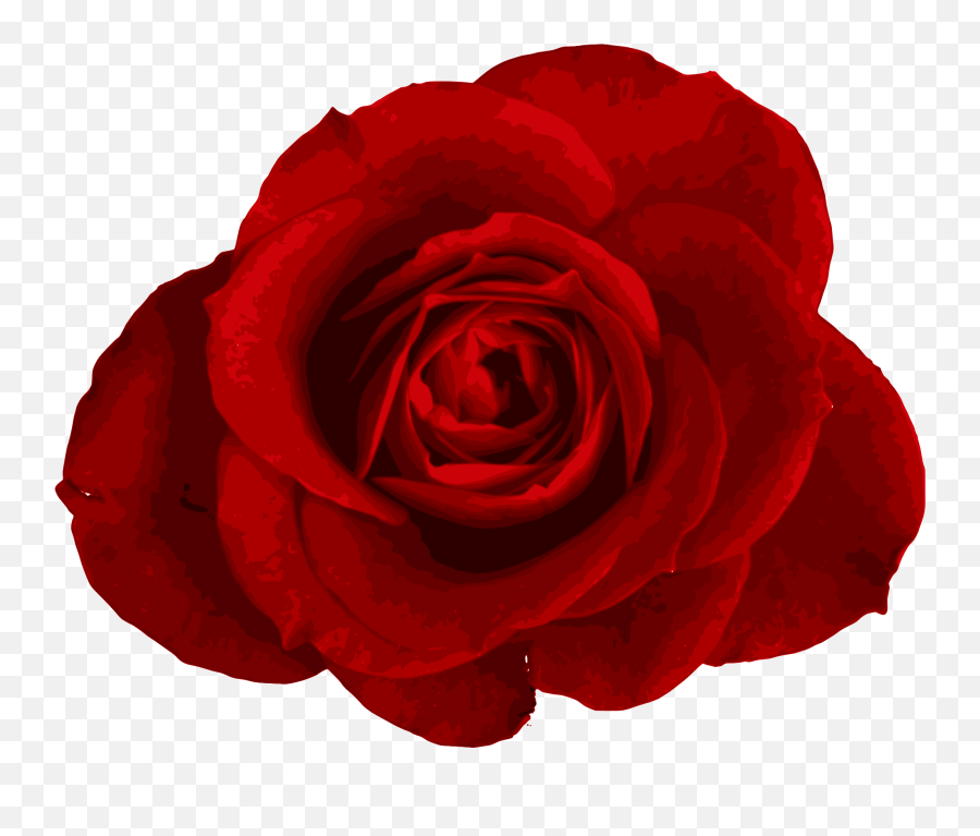 Rose Png - Red Black Rose Transparent Background Emoji,Rosa Png